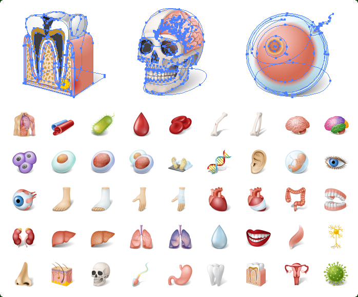 Body Icons, Anatomy Icons